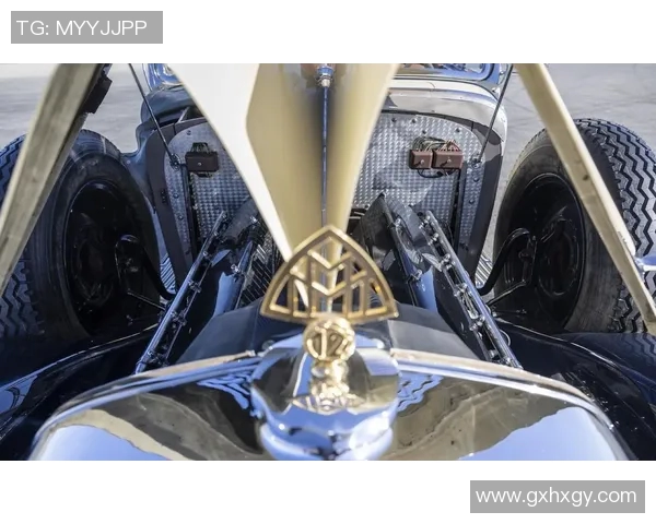 ds8比赛录像-极致赛场上的疾驰巨兽 DS8 比赛精彩瞬间纪实-ds8比赛录像